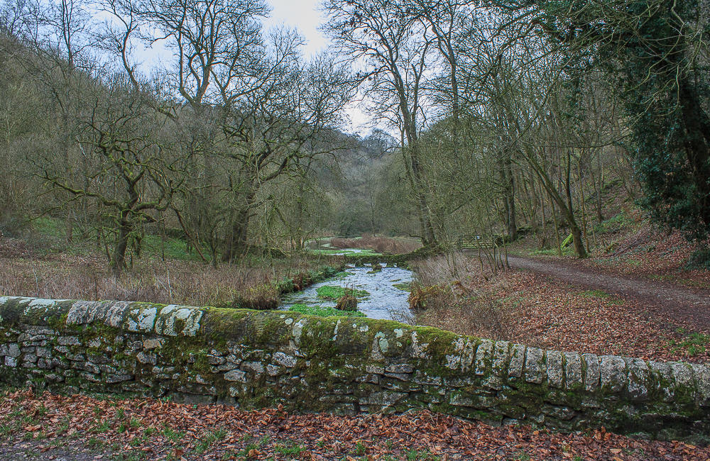 Bradford Dale Bradford Dale